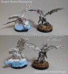 Tonihatch9